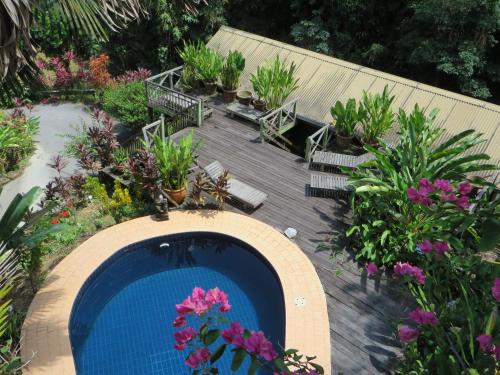 山都望南加达迈民宿的花园中种有鲜花和植物的游泳池