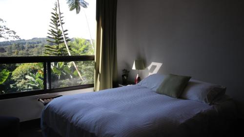 下博克特The Guest Suites at Manana Madera的一间卧室设有一张床和一个大窗户
