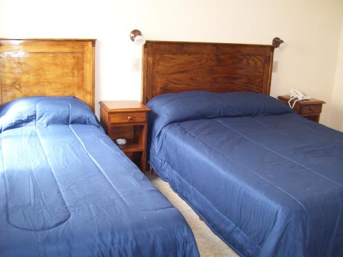 拉里奥哈阿文尼达酒店的一间卧室设有两张带蓝色床单和木制床头板的床。
