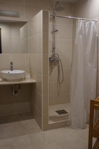 库雷萨雷Pargi Apartment的带淋浴和盥洗盆的浴室
