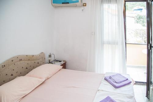 佩特罗瓦纳莫鲁Apartmani Ksenija的一张位于带大窗户的房间内的床铺