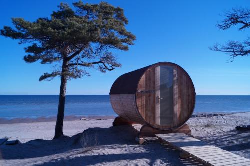 科尔卡Kempings Saulesmājas的木桶坐在树旁的海滩上