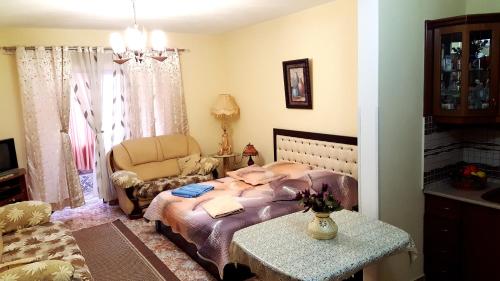 波格拉德茨Berberi Guest House的一间卧室配有一张床、一把椅子和一张桌子