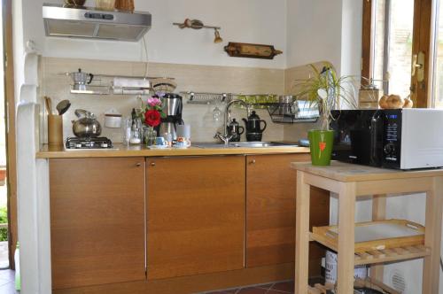 锡耶纳科隆比诺农家乐的厨房配有水槽和微波炉