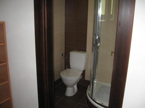 小斯卡拉Apartment Panteon Basecamp的一间带卫生间和玻璃淋浴间的浴室