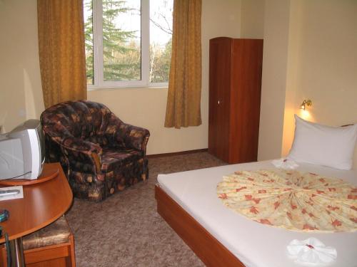 鲁塞法米莉亚家庭酒店的配有一张床和一把椅子的酒店客房