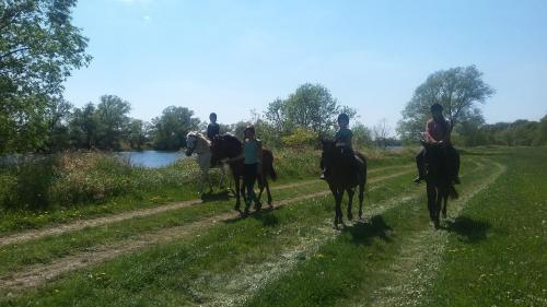 KehnertGutshof Kehnert - Pension & Ferienwohnungen的一群骑马的人在土路下骑着
