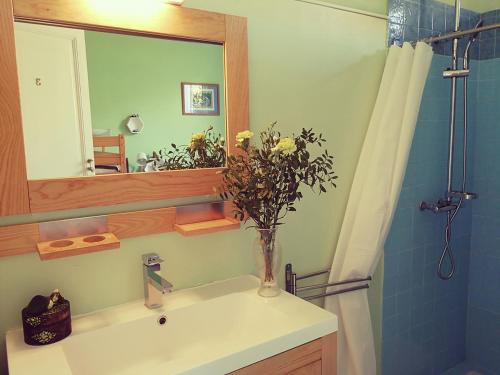 米尼赞海滩莱斯埃姆布伦斯酒店的浴室设有花瓶,位于水槽上