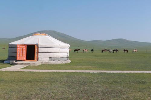 NalayhNomad Horse Camp的田野里一群马的蒙古包