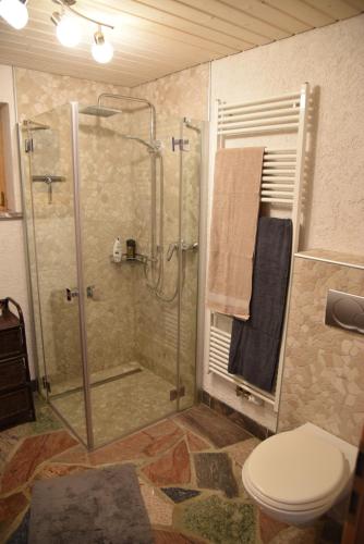 伊兹林根Ferienwohnung Inzlingen的浴室设有玻璃淋浴间和卫生间
