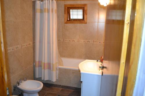 乌斯怀亚Cabañas Bosque Del Faldeo的浴室配有卫生间、浴缸和水槽。