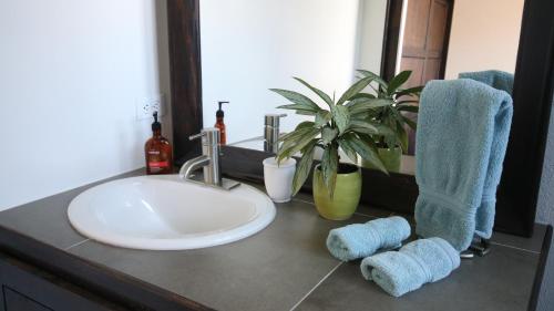 下博克特The Guest Suites at Manana Madera的一个带水槽和盆子的浴室台面