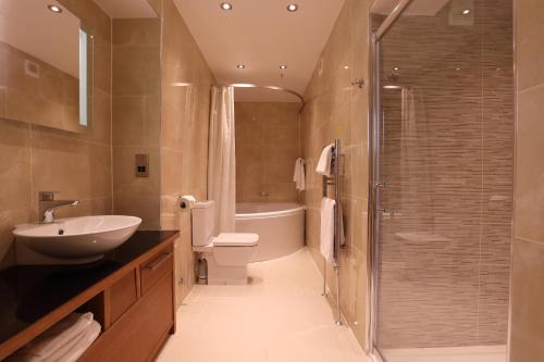 斯特灵金狮酒店的一间带水槽、卫生间和淋浴的浴室