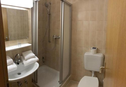 本多夫赛恩修道院旅馆的带淋浴、卫生间和盥洗盆的浴室