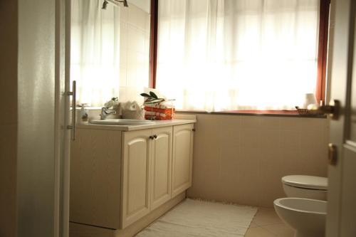 特雷维格里奥巴萨内拉农家乐的一间带水槽和卫生间的浴室以及窗户。