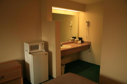 蒙特罗斯黑峡谷汽车旅馆的小型浴室设有水槽和冰箱上的微波炉