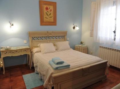 阿尔玛格鲁Casa Rural Entre Volcanes de Almagro的一间卧室配有一张床、一张桌子和一个窗户。