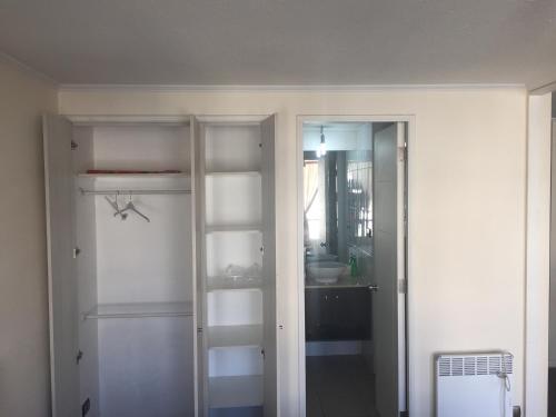 圣地亚哥Departamento Vergara的浴室设有2个玻璃架和水槽