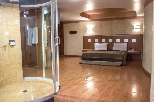 科尔多瓦Autohotel Ilussion的一间卧室设有淋浴、一张床和一个浴缸。
