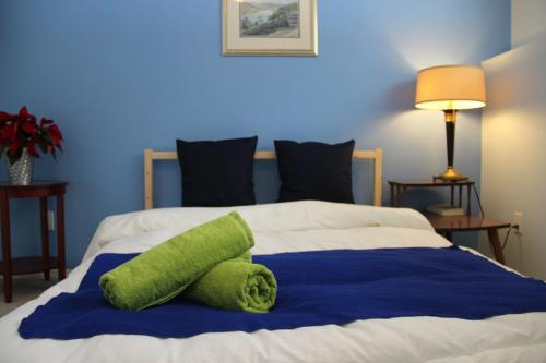 温尼伯温尼伯民宿的一张蓝色和白色的床,上面有绿色枕头