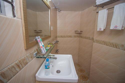 达卡普罗加提酒店有限公司的一间带水槽和镜子的浴室