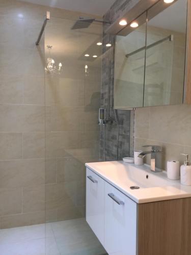 沃尔特湖畔韦尔登得其乐旅馆的带淋浴、盥洗盆和镜子的浴室