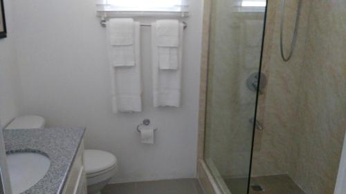 欧丘里欧Relax Villa的带淋浴、卫生间和盥洗盆的浴室