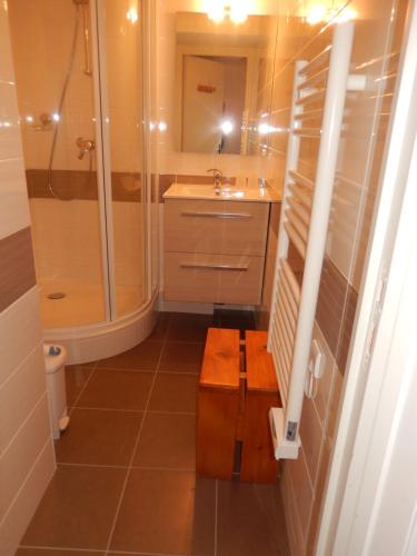 里蒙纽耶Appartement Les Menuires的带淋浴、盥洗盆和卫生间的浴室