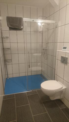 伯格北马格德堡Pension32的浴室设有玻璃淋浴间和卫生间