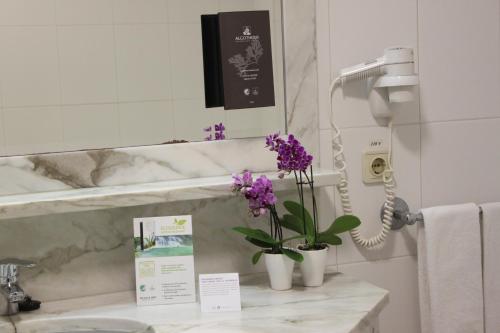 埃斯波森迪素雅唯马尔酒店的浴室设有水槽,在柜台上摆放着紫色的鲜花