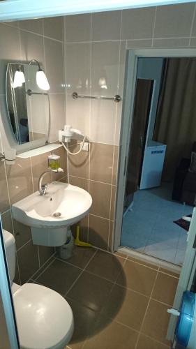 达利安Sirius Hotel的一间带水槽、卫生间和淋浴的浴室