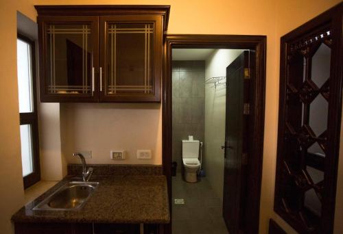 索瓦马塔拉地产公寓的一间带水槽和卫生间的小厨房