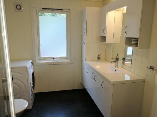 弗洛姆斯泰恩施霍伦度假屋的一间带水槽和洗衣机的浴室