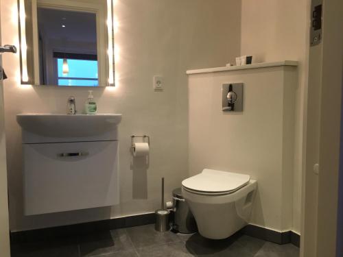 锡尔克堡Julsø lejligheden的浴室配有白色卫生间和盥洗盆。