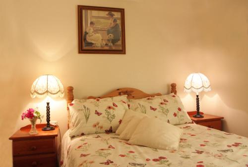 卡马森Fferm Y Felin的一间卧室配有一张带两盏灯的床,墙上挂着一张照片