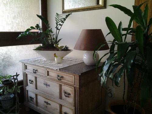滨湖波德斯多夫Die Pension Reeh的一张桌子,上面有灯和植物