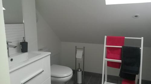 VerlinghemPause Messines Chez Thérèse的白色的浴室设有卫生间和水槽。