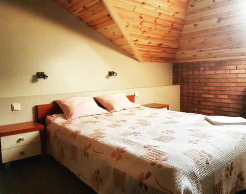 安德雷胡夫兹洛卡丽贝卡酒店的一间卧室设有一张带木制天花板的大床