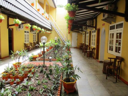 雅加达图古阿斯里酒店的一座种植了盆栽植物和椅子的建筑的庭院