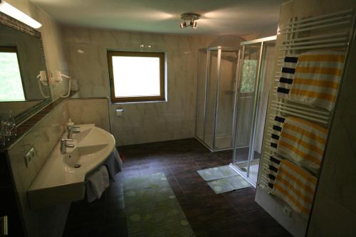 格尔洛斯贝格"Adamerhof"的一间带水槽和淋浴的浴室