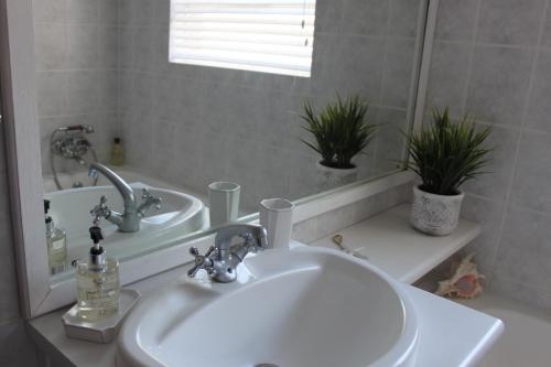 干斯拜SEAesta的浴室设有水槽、镜子和2个植物