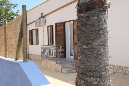 伯吉维奇Casa Sole e Vento的房屋前的棕榈树