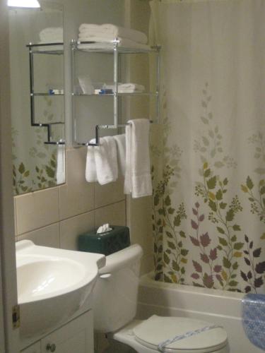 蒙特贝罗贝尔伊奥汽车旅馆的一间带水槽、卫生间和淋浴的浴室