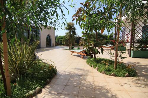 圣多米诺莱万特酒店的庭院里种有长凳、树木和植物