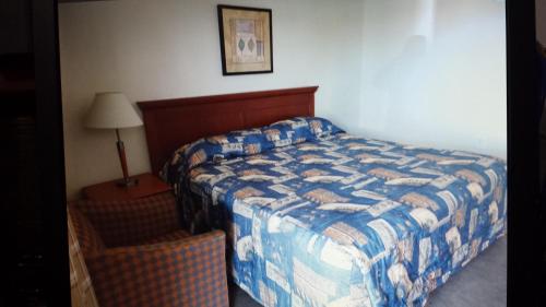 尼亚加拉瀑布艾利威特鲁姆斯星星汽车旅馆的一间卧室配有一张床、一张桌子和一盏灯