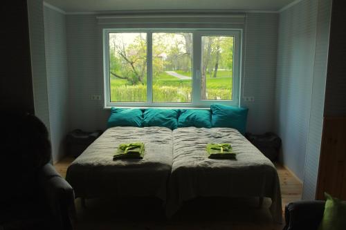 NurmeNurmeveski Holiday House的一张位于带窗户的房间的床
