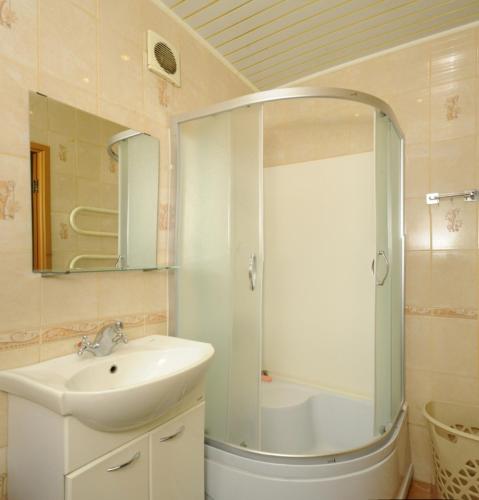 鄂木斯克Omsk Sutki Apartments on Irtyshskaya Naberezhnaya 12的带淋浴和盥洗盆的浴室