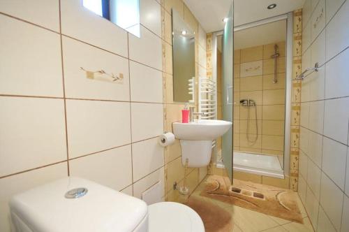 切尔韦尼克拉什托尔Apartmany pod Troma Korunami的浴室配有卫生间、盥洗盆和淋浴。