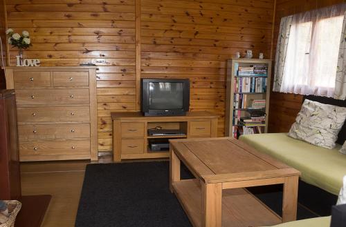 Želiv秘境公寓的一间带电视和木墙的客厅