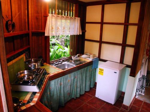 别霍港La Casa de Rolando的一间带水槽和冰箱的小厨房